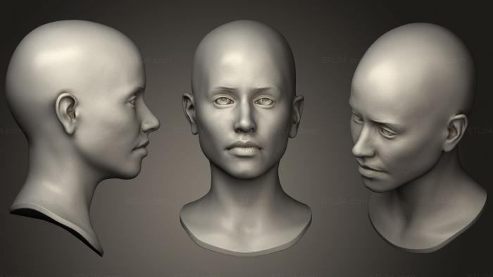 Анатомия скелеты и черепа (Женская голова 37, ANTM_0510) 3D модель для ЧПУ станка